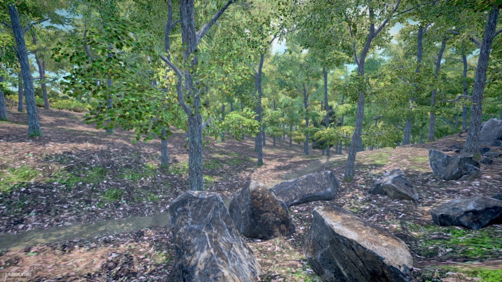 forest_before