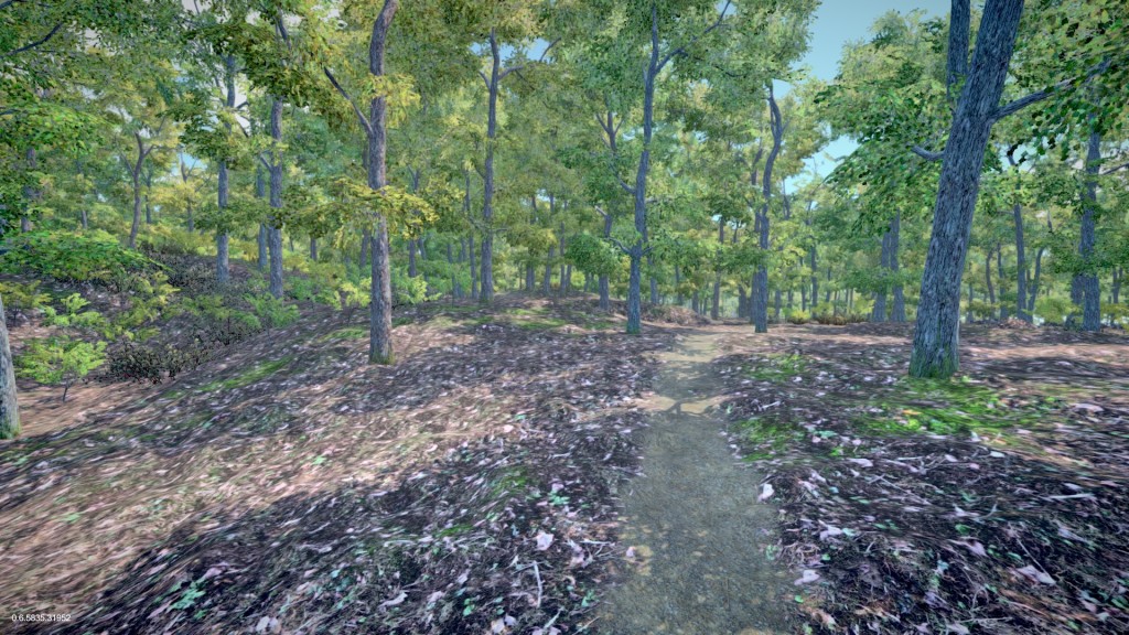 forest_before2