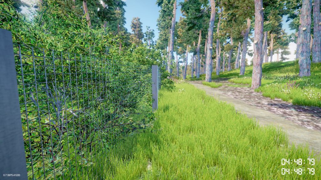 trees_on_fences